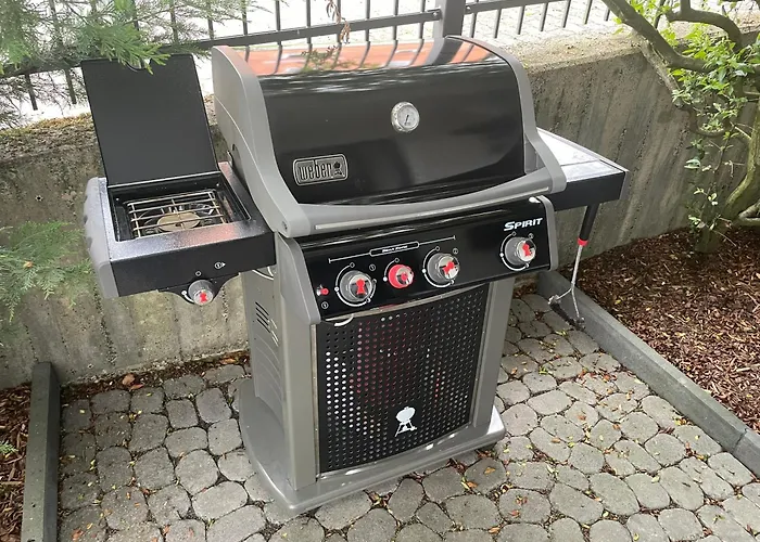 The Birdy Mountains Luxury 146qm, Sauna, Entertainment